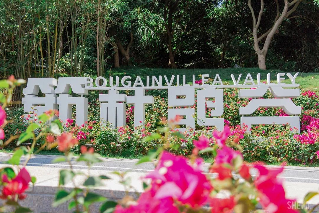 鍘夊浜嗘垜鐨勫ぇ瑗垮畨,鍘夊浜嗘垜鐨勫ぇ鑸熷北