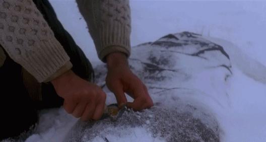 祸从天降全集免费观看,祸从天降上集