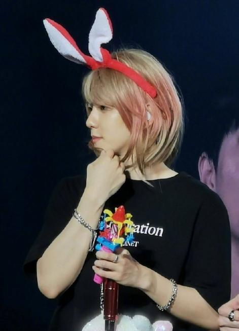 爱丽评价伯贤,爱丽认错边伯贤视频