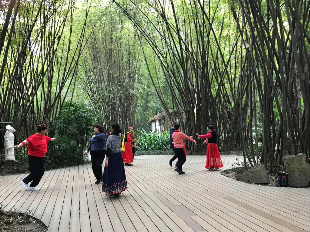 成都望江楼公园简介,成都望江楼公园要门票吗