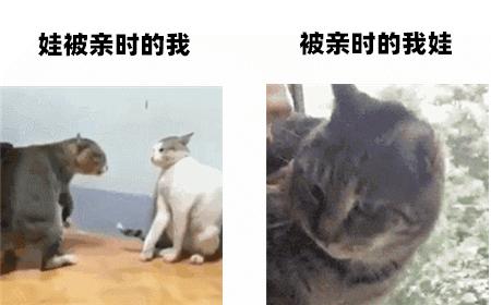 亲吻有可能会传播的疾病,亲吻有可能得病吗