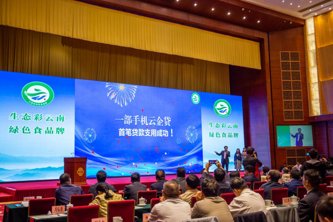 赞！云南这些优秀企业不一般，受书记、省长亲自表彰