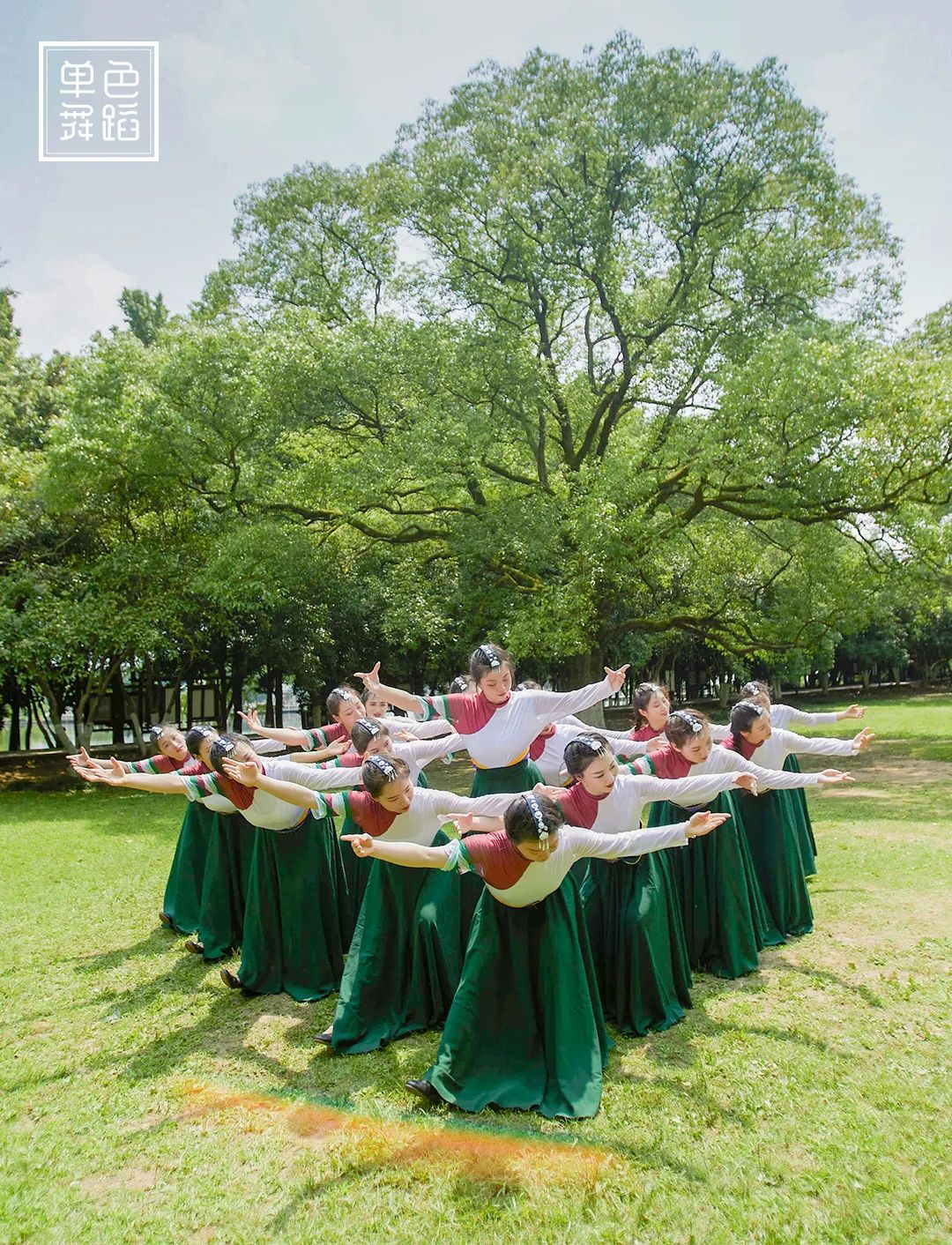 上热搜的民族舞,上热搜的舞蹈