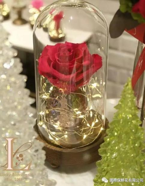 什么是永生花玫瑰花,永生花是什么花