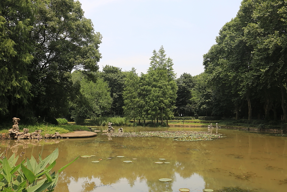 红河谷半音阶口琴独奏,12孔半音阶口琴演奏北国风光