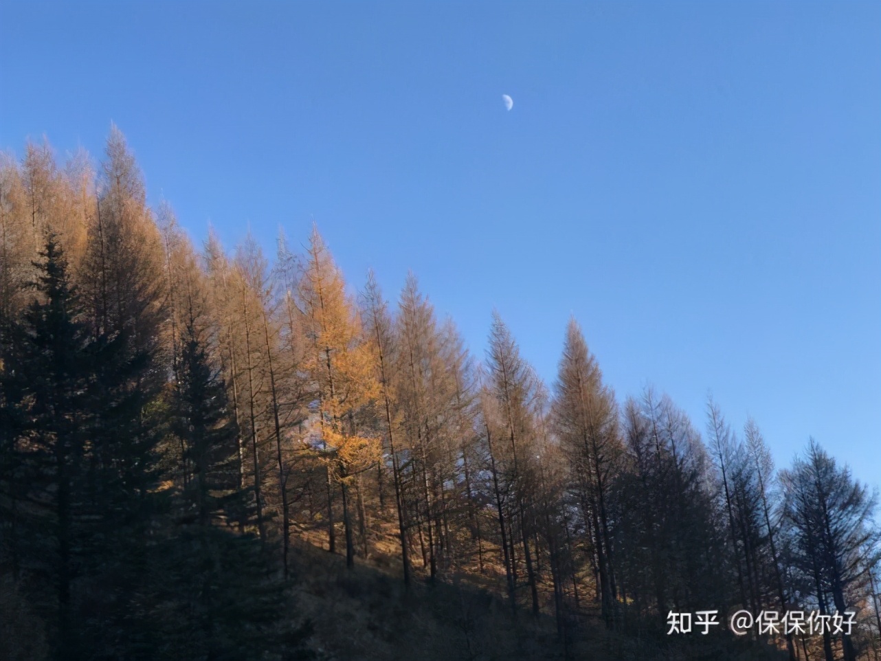 明亚保险经纪人有前途吗,明亚保险经纪人怎么考