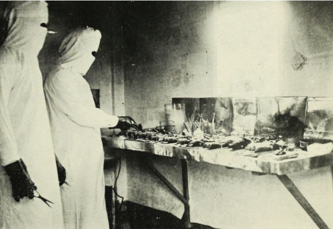 新型冠状病毒哪个地区封城了,浙江发现新型冠状病毒要封城吗