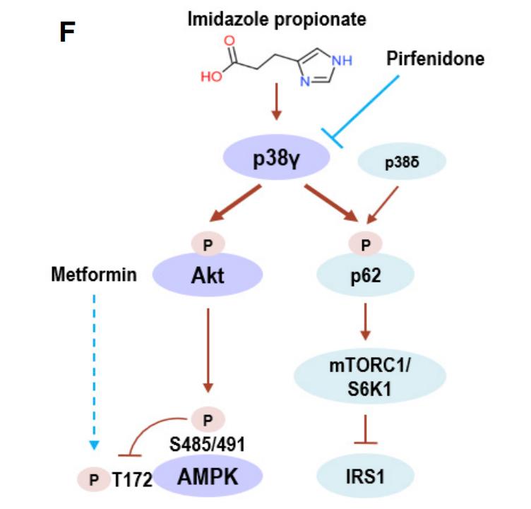 韩国三星保健品,韩国二甲双胍