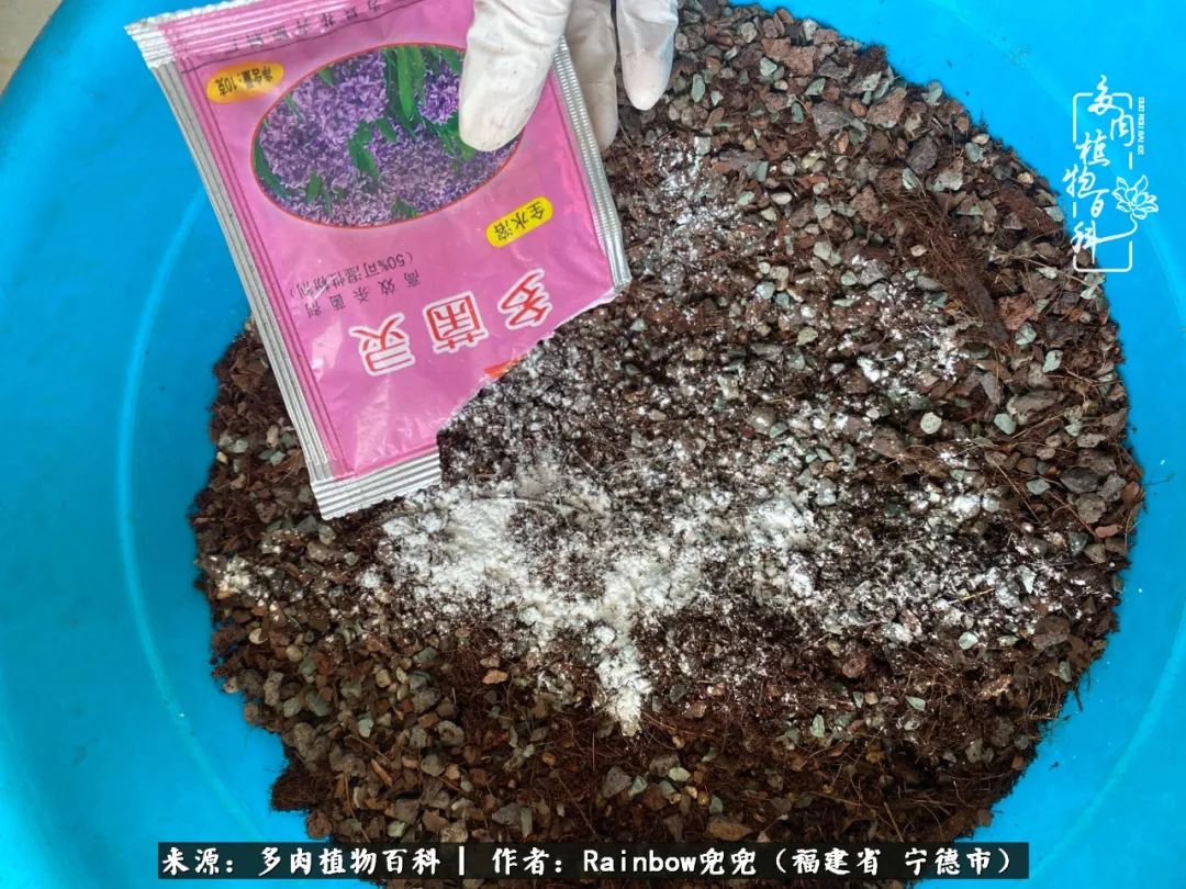 岁月无波澜余生不悲欢是啥意思,愿你岁月无波澜敬我余生无悲欢