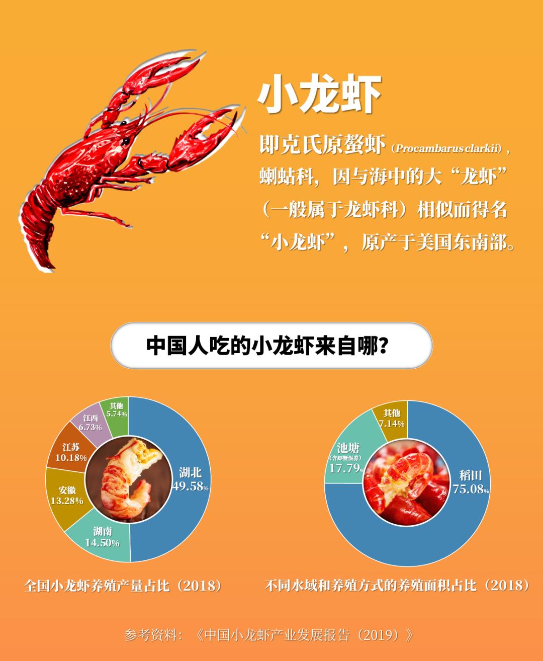 夏天适合出来吃小龙虾喝啤酒,夏天最重要的事喝啤酒吃小龙虾