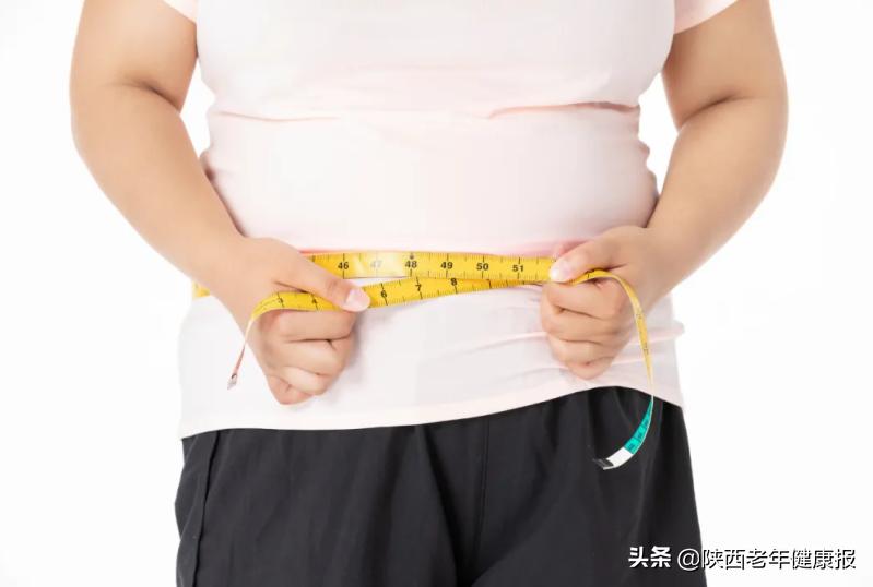 如何学针灸减肥知识点总结,健康大讲堂针灸减肥