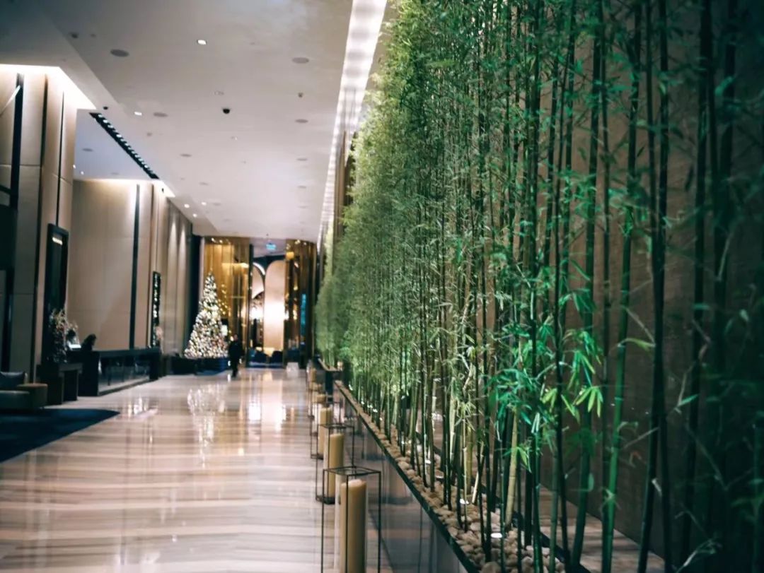 睡在获奖无数的这家酒店，一晚吃掉14颗星米其林，这样的旅行爱了