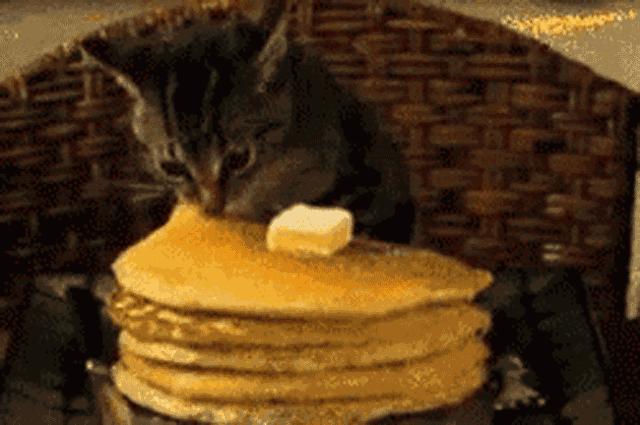 怎么拍出惊艳朋友圈的照片,60秒短视频拍摄技巧