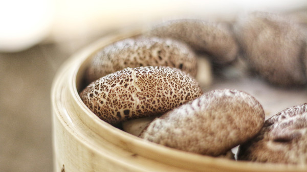 两大两小广州长隆酒店套票,5大1小广州长隆推荐酒店