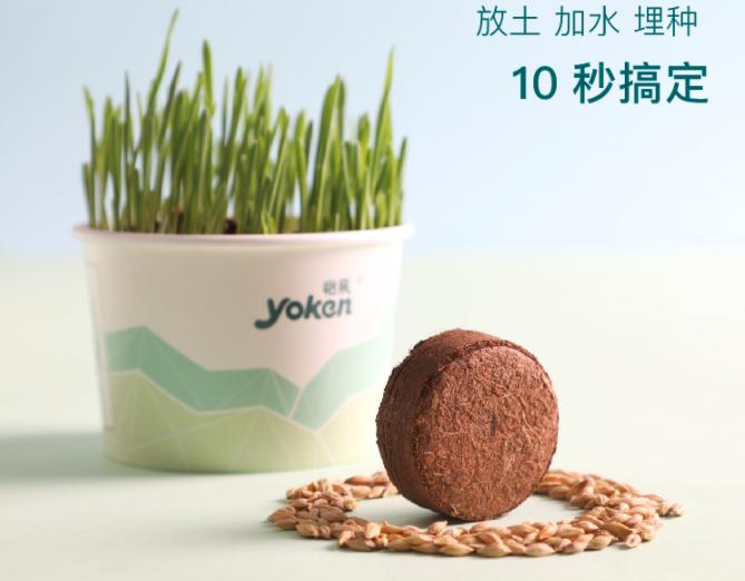 猫毛吸进肺里案例,猫的毛会吸进肺里吗