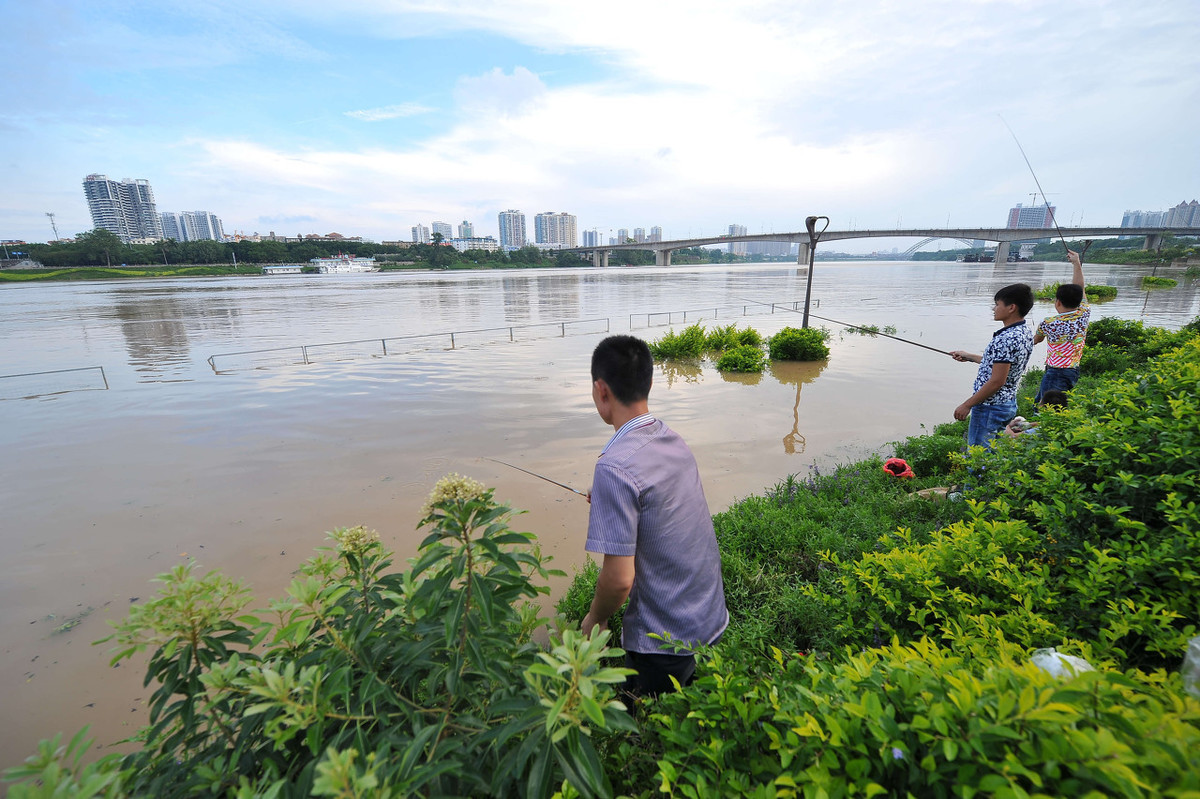 麝香诱鱼真的那么厉害么,红虫和麝香哪个诱鱼效果好点