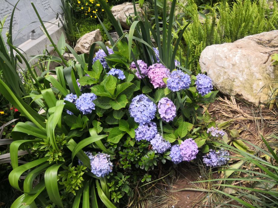 彭祖山景区,彭祖山游玩攻略图