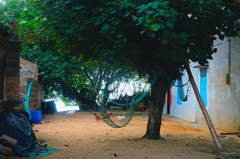 广东湛江旅游攻略赶海,湛江海边旅游攻略推荐地方