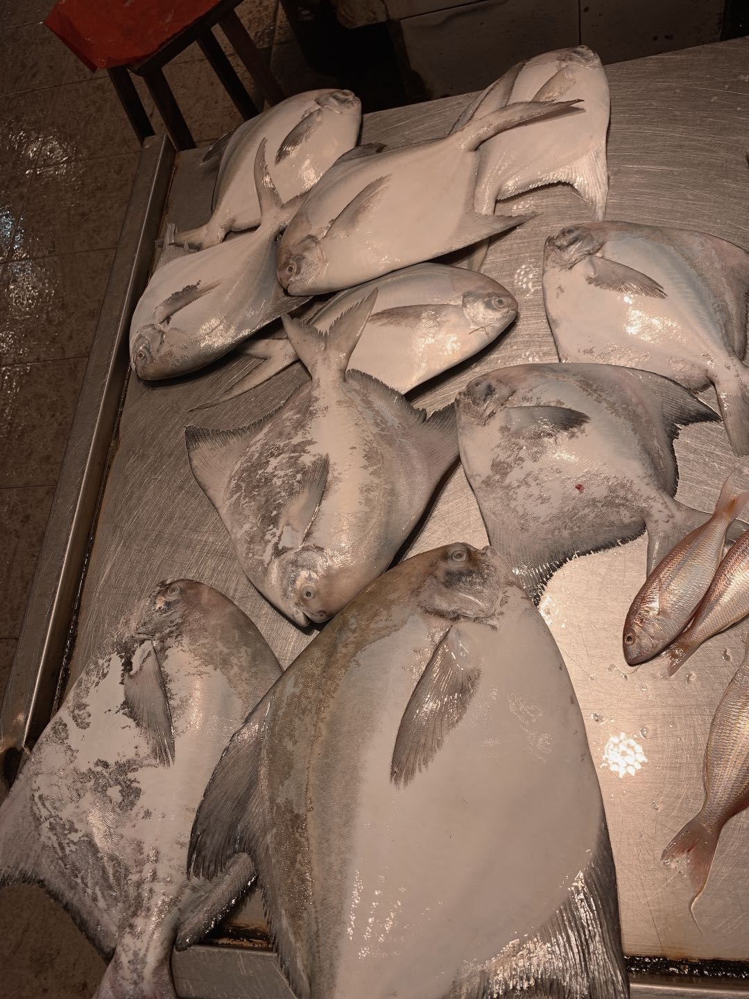 去北海在哪里买海鲜比较划算,北海的海鲜便宜还是防城港的便宜