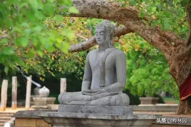 命硬怎么办教你一招改善,命苦怎么改命