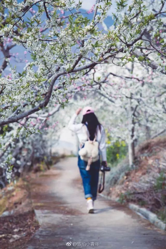 半个月后成都即将美翻全国，17处美景玩转整个春天！