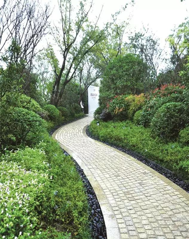 景观施工图铺装,常见景观铺装设计