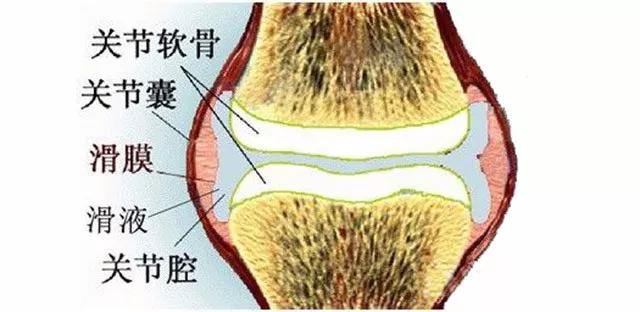 软组织损伤后，为什么越静养，问题越多呢？