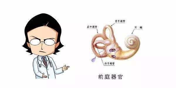 你知道什么叫头晕吗,你知道什么原因引起的头晕吗