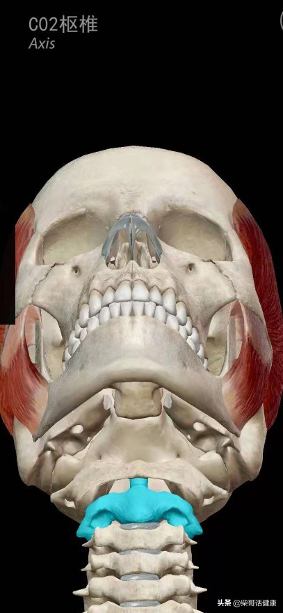 用3D来脊柱体表定位简单多了