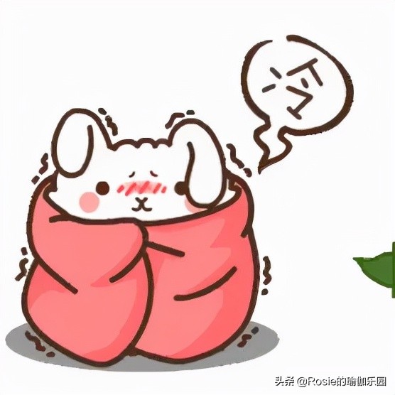 baby气场全开,baby间接燃脂