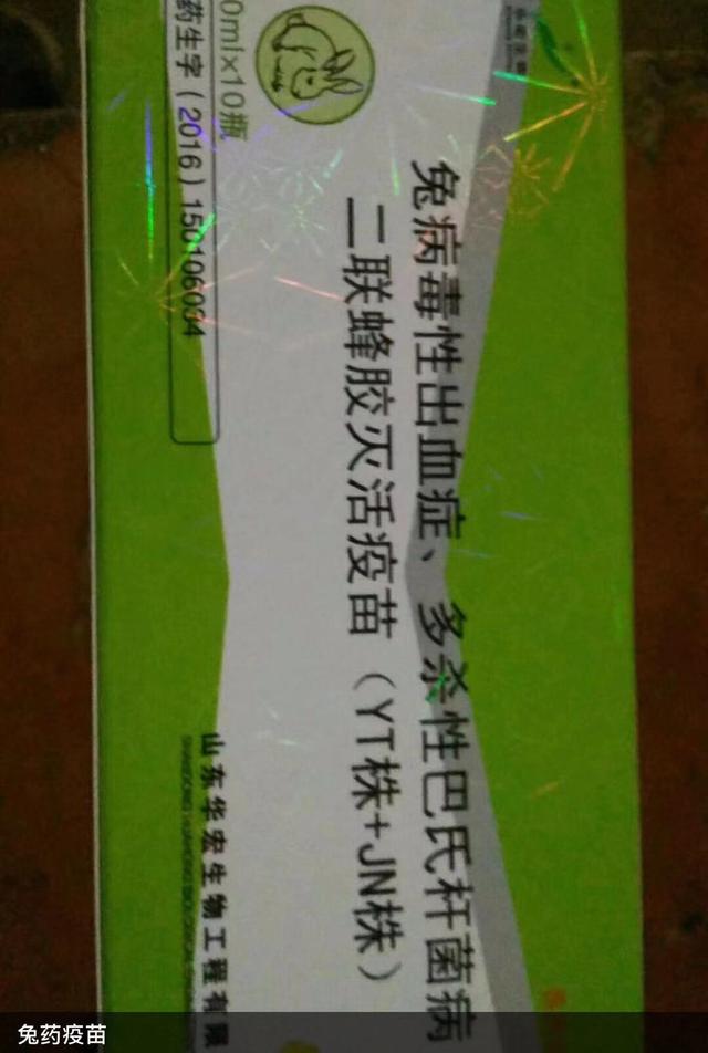 养兔必备药,新手养兔兔需要准备的药品