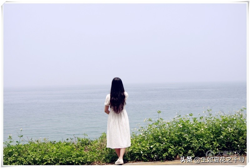 深圳市杨梅坑美人鱼拍摄基地,深圳大鹏杨梅坑美人鱼拍摄地点