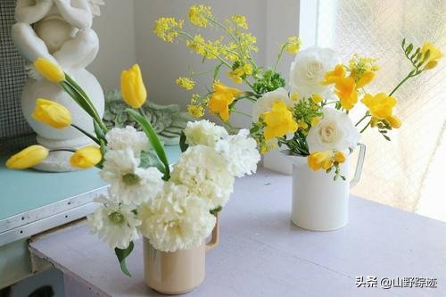 遇到花掉叶黄不如试试这一物,只需加一勺,会有意想不到的效果