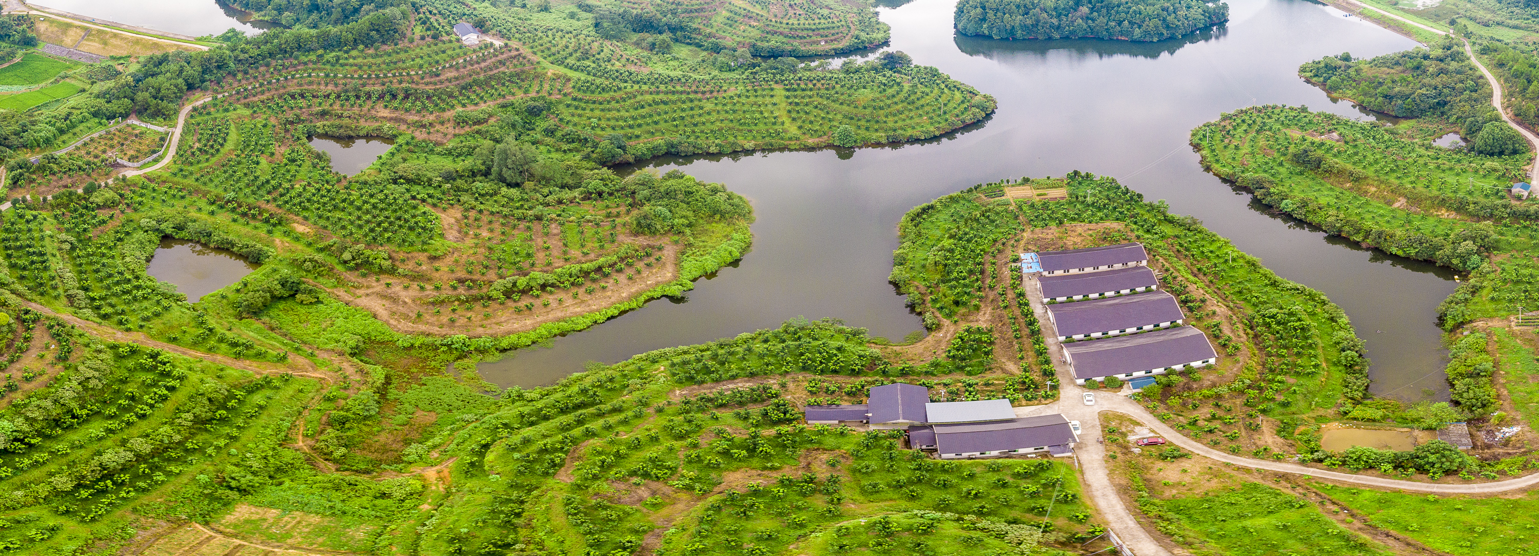 璁插笀寰愬己,寰愬己鏁欐巿婕旇瑙嗛