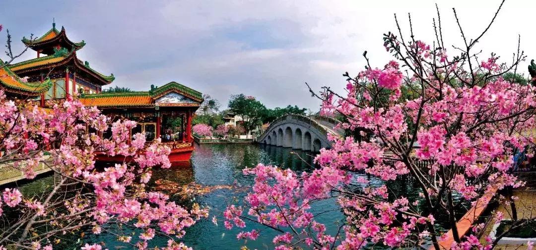 广州三八妇女节特惠景点晚上,广州哪里有三八妇女节免费景点