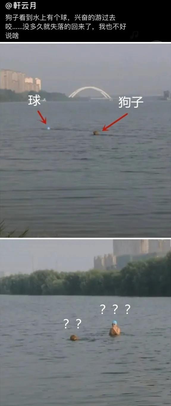 珍藏很久的40张趣图看完都笑疯了,逗趣图片