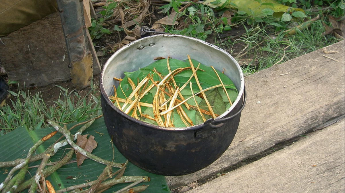 沉浸式体验330豪华,沉浸式体验电影节