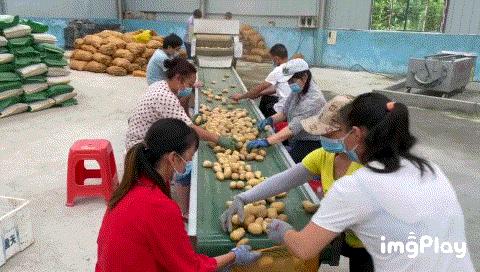 鍗佸牥瓒呭叏钄彍姘存灉,鍗佸牥鏂伴矞姘存灉