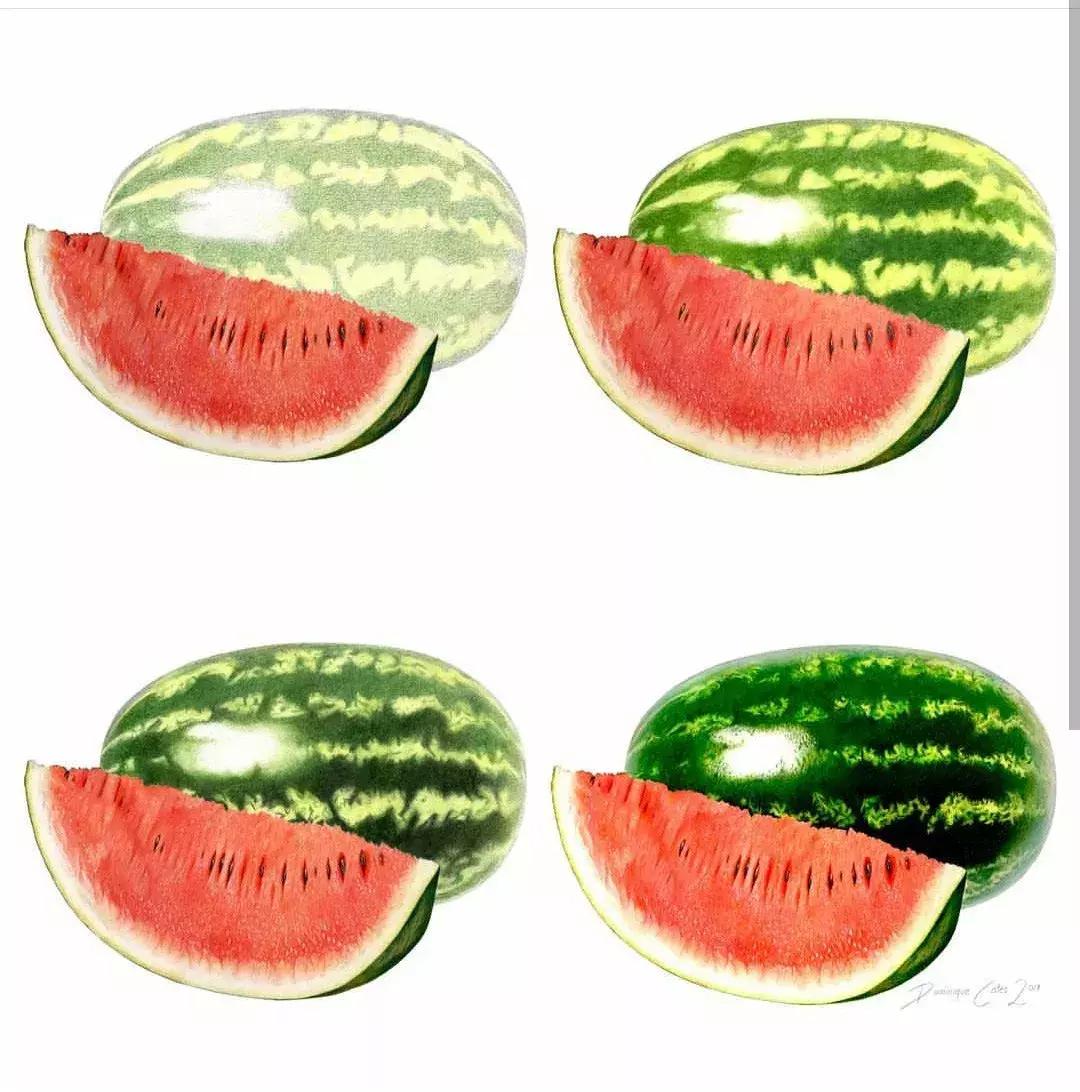 彩铅如何画得非常细腻,彩铅画的很好看零基础