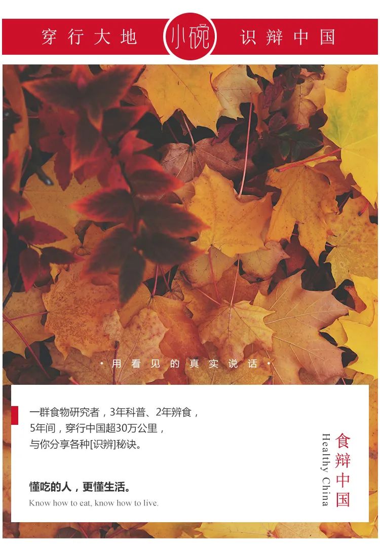 假肉松怎样炒,肉松不是肉三招教你辨别真假肉松