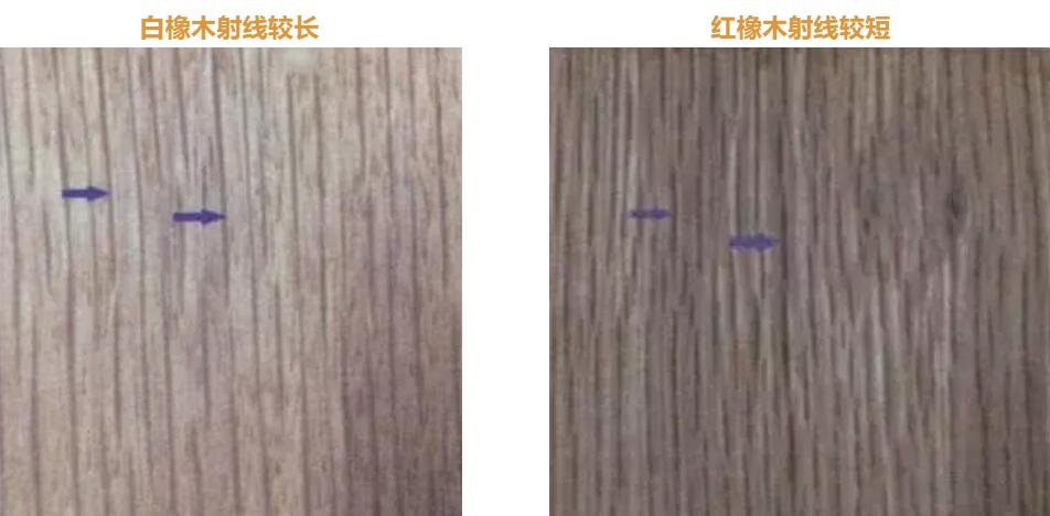 红橡和胡桃木床哪种好,红橡和白橡实木家具价格