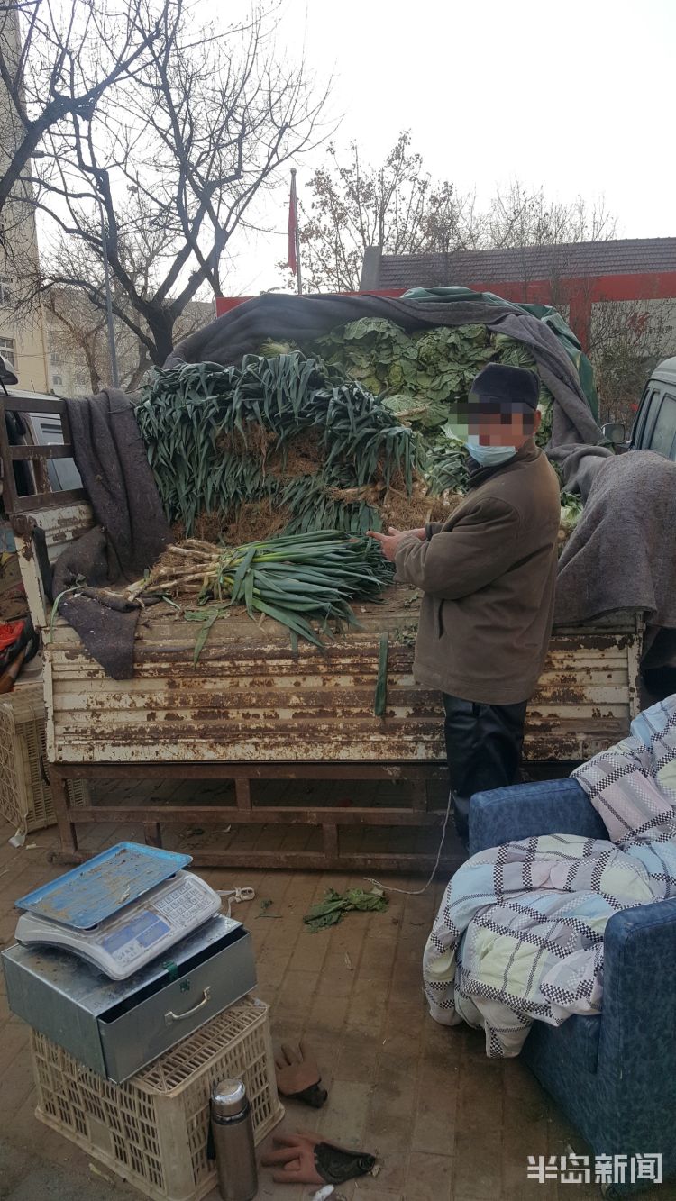 苹果、土豆、大葱……青岛一小贼逮住一只羊“薅羊毛”