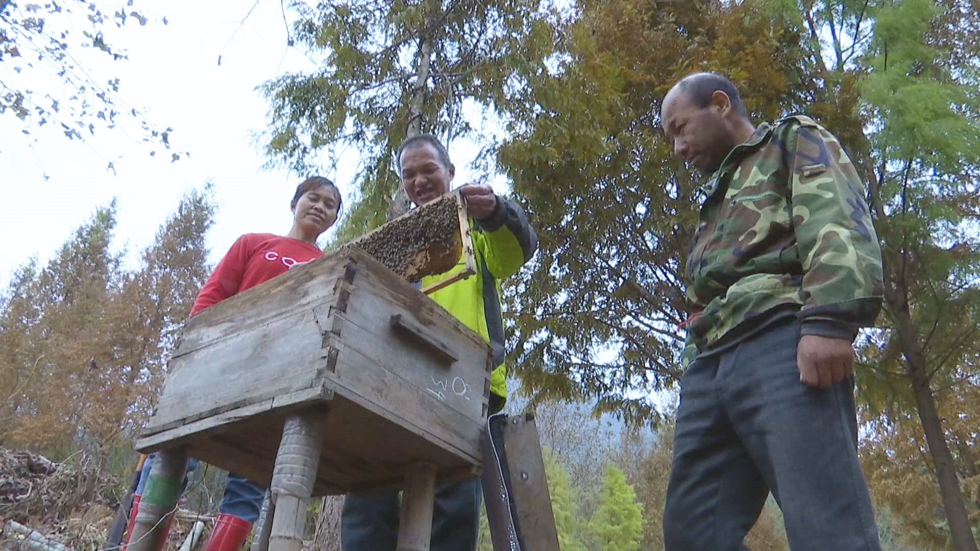 金溪厂房着火最新消息,江西金溪县森林火灾
