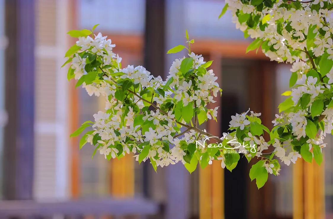 烟台张裕酒庄参观推荐,烟台打卡网红景点月亮湾