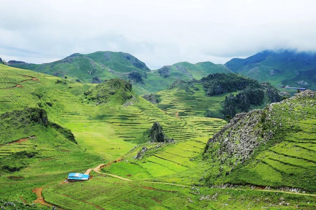 开远是哪个地方,开远市离边境多远