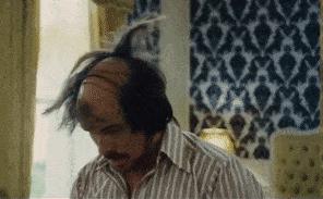 体毛能移植到眉毛么,体毛可以移植头发么