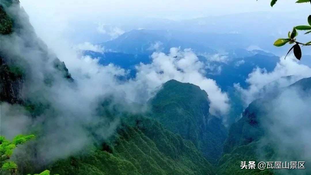 送你个惊喜,送给你个惊喜英文