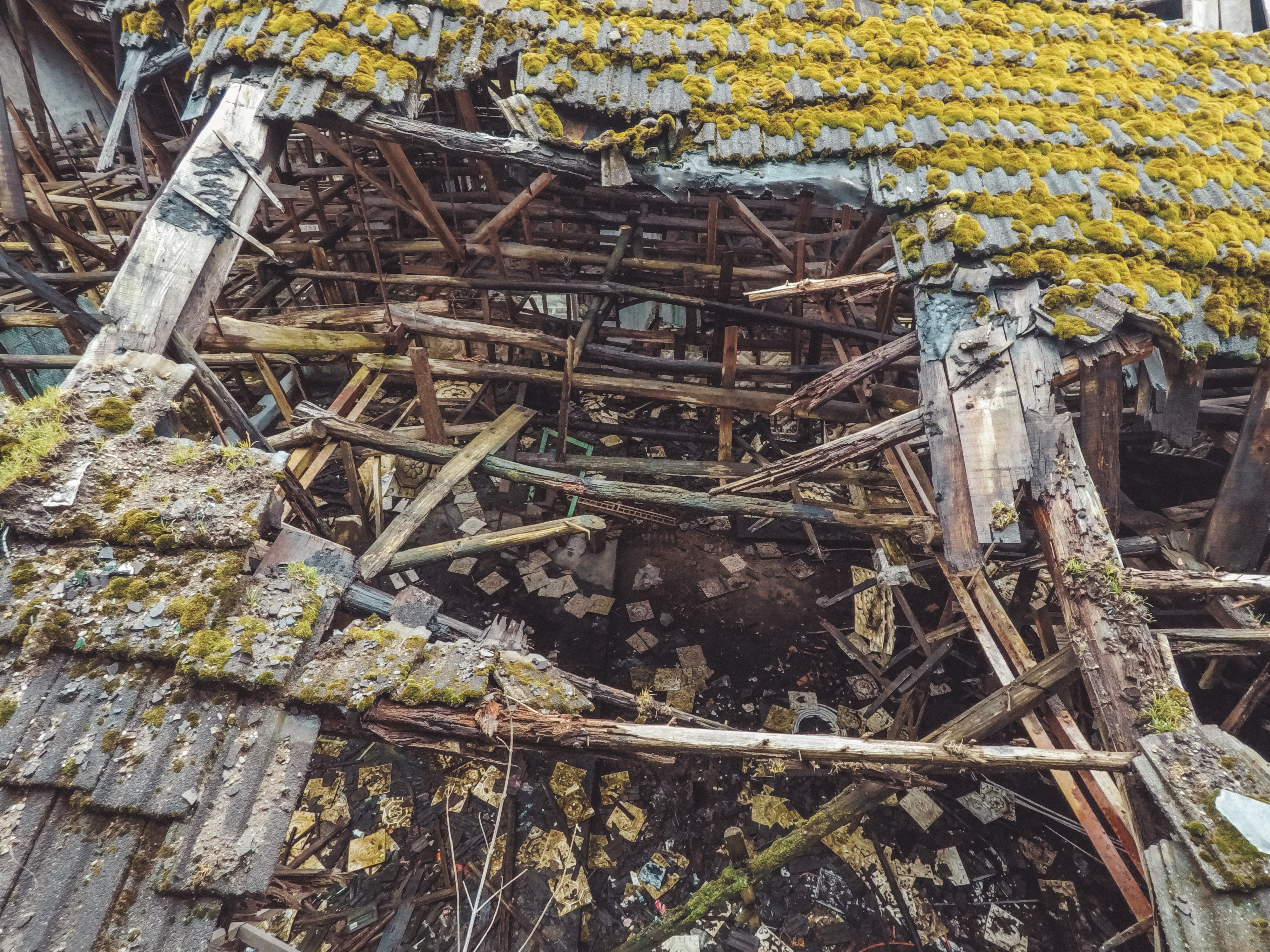 绿水青山的垦殖场