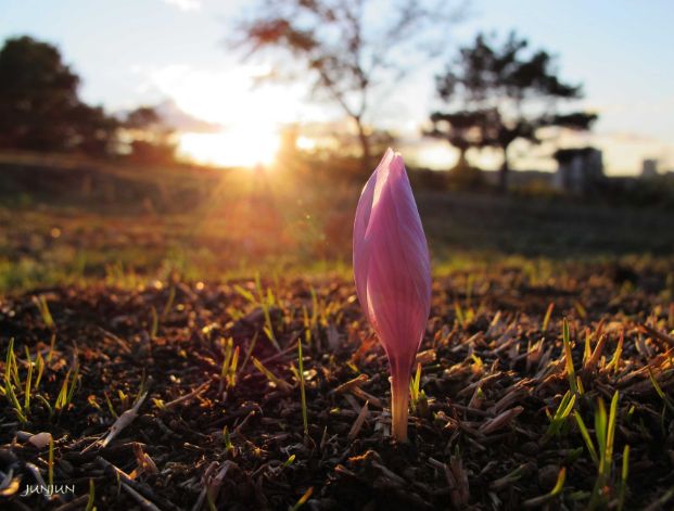 诗歌《孤独》,诗词孤独寂寞