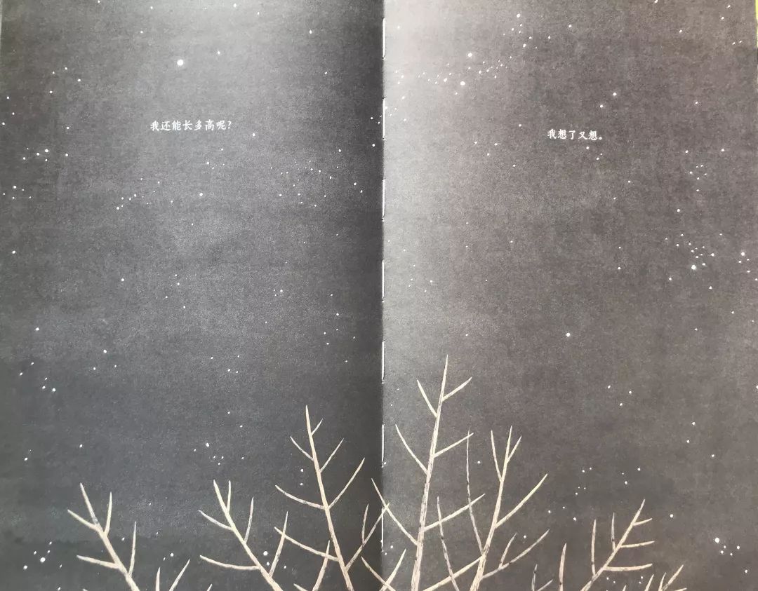 成长的秘密绘本,树看到了什么
